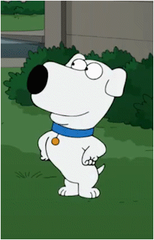 Scrappy Brian