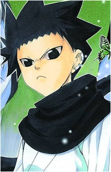 Tsukumo Mujina