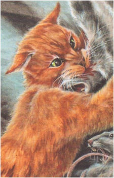 Image 18