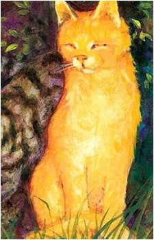 Image 31