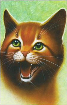 Image 32