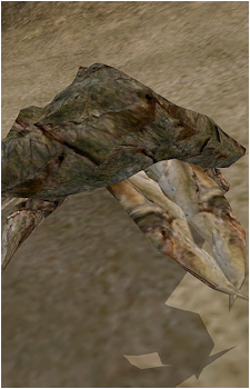 Mudcrab
