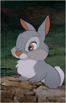 Thumper