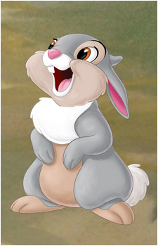 Thumper's image