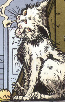The Cat {TMP}'s image