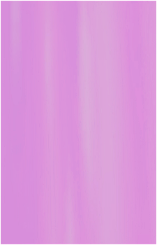 Image 55