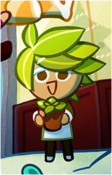 Herb Cookie