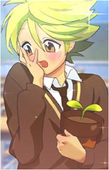 Herb Cookie