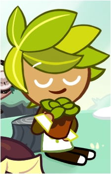 Herb Cookie