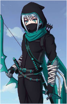 Raid's image