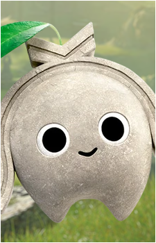 Koco's image