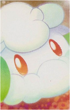Image 8