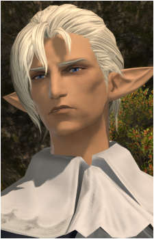 Fourchenault Leveilleur's image