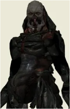 Verdugo's image