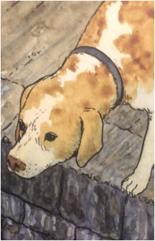Shiro {Ito}'s image