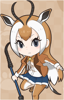 Springbok