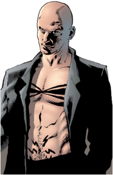 Image 6