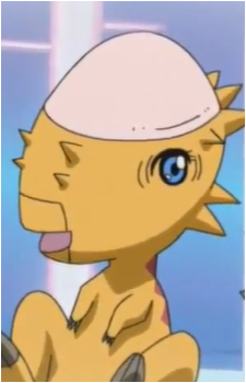 Pachy's image