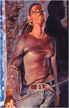Image source: Y: The Last Man #29 cover art Agent 355