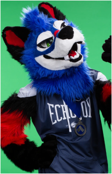 SonicFox's image