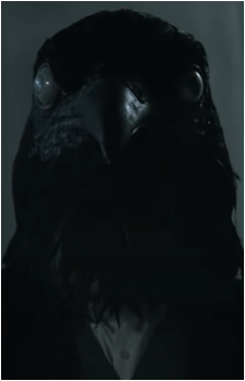 Mr. Crow