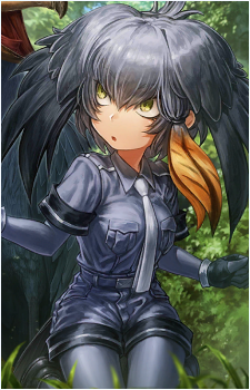 Shoebill