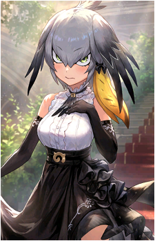 Shoebill