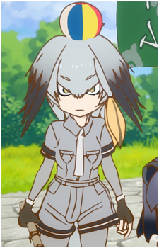 Shoebill