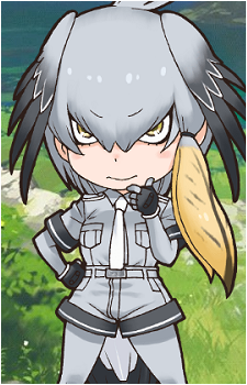 Shoebill's image