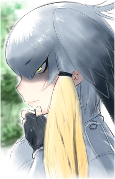 Shoebill