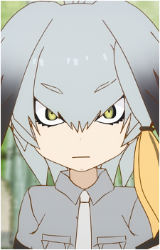 Shoebill