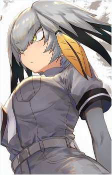 Shoebill
