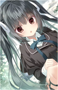 Image 4 Image 4