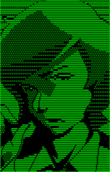 Image 2 Image 2