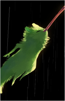 Image 6 Image 6
