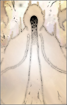 Higher Being's image