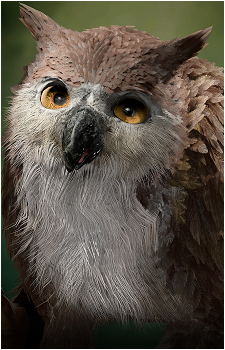 Owlbear Cub