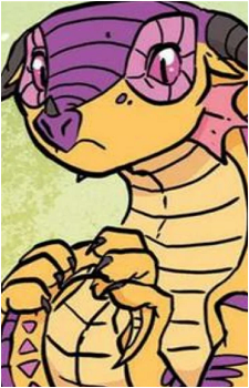 Kinkajou's image