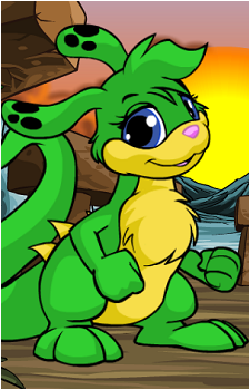 Zafara's image