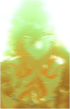 Image 37