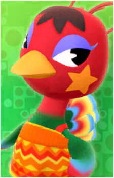 Rio {AC}