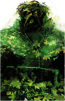 Image 15