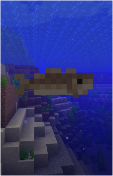 Cod's image