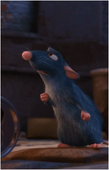 Image 31