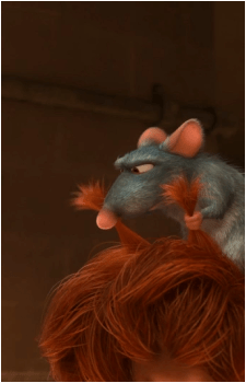 Image 30