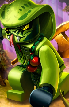 Lasha's image