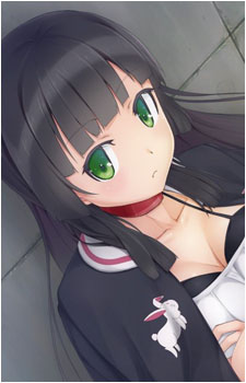 Koiro Hachisuka