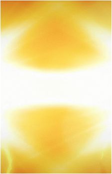 Image 41