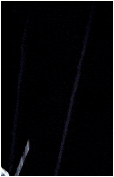 Image 100