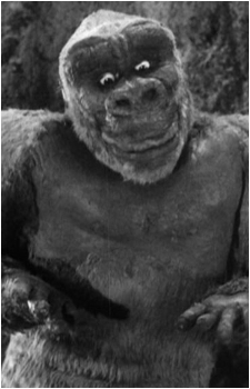 Image 2 Image 2